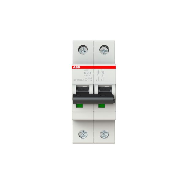 S200 "K" MINIINTERRUPTOR 2 POLOS, 63 A / S202-K63