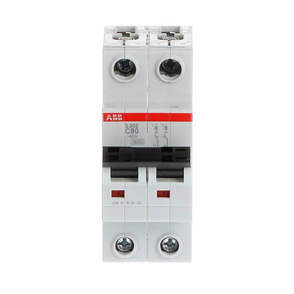 S200 "C" MINIINTERRUPTOR 2 POLOS, 80 A / S202-C80