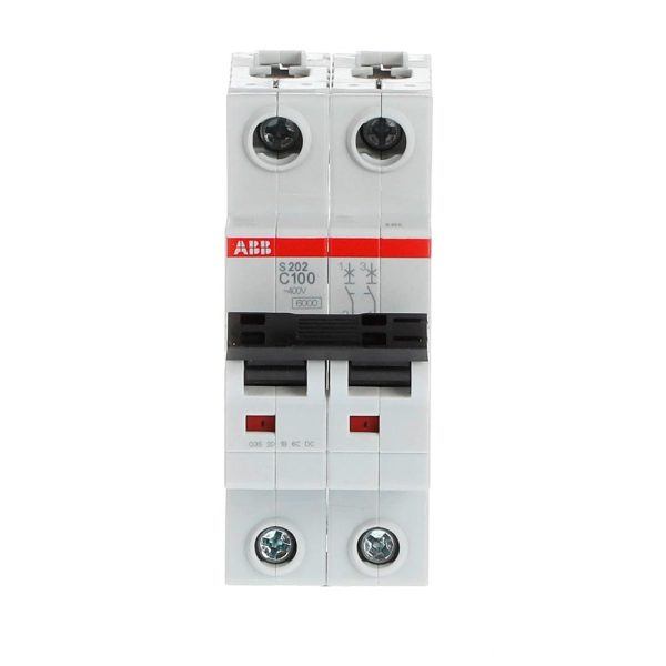 S200 "C" MINIINTERRUPTOR 2 POLOS, 100 A / S202-C100